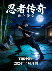 《忍者传奇》日剧海报：忍者执行秘密任务